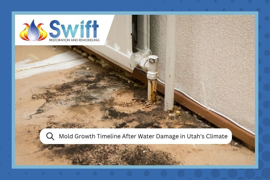 Damaged home exterior with water staining and a pipe leak; Swift logo and search bar overlay.
