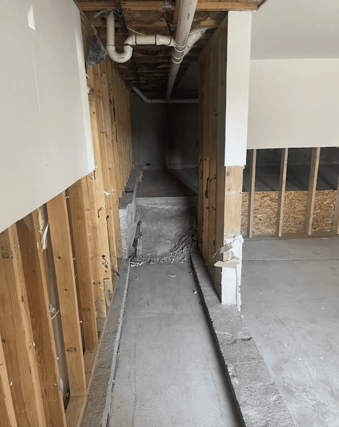 Basement after flood cut showing exposed studs and OSB sheathing