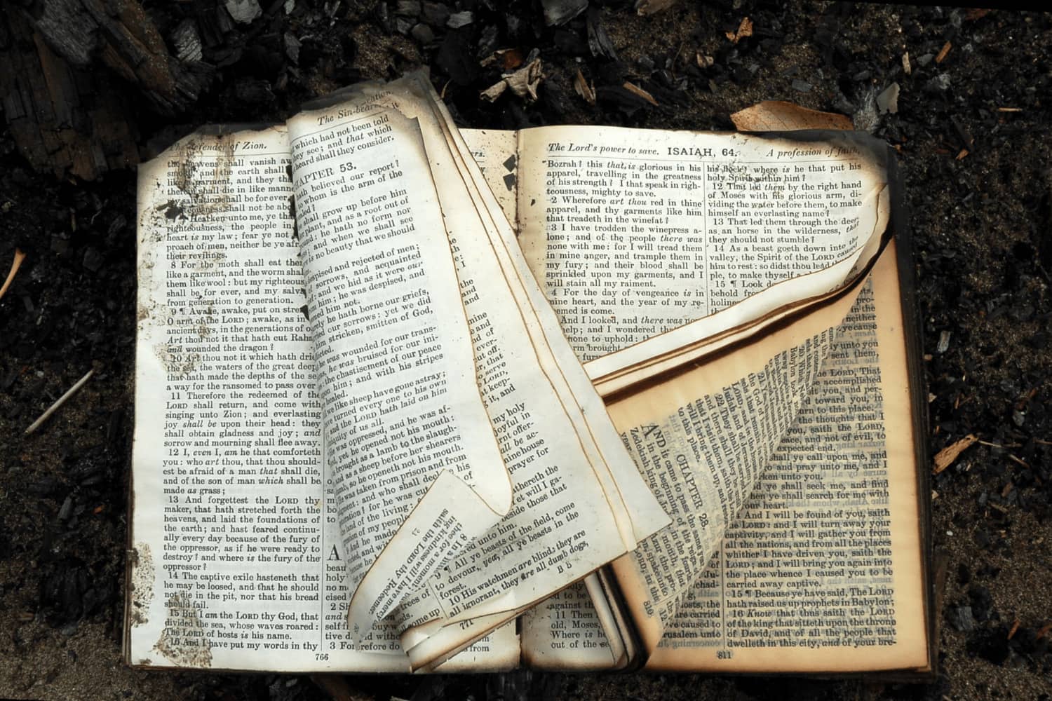Emergency Content Cleaning