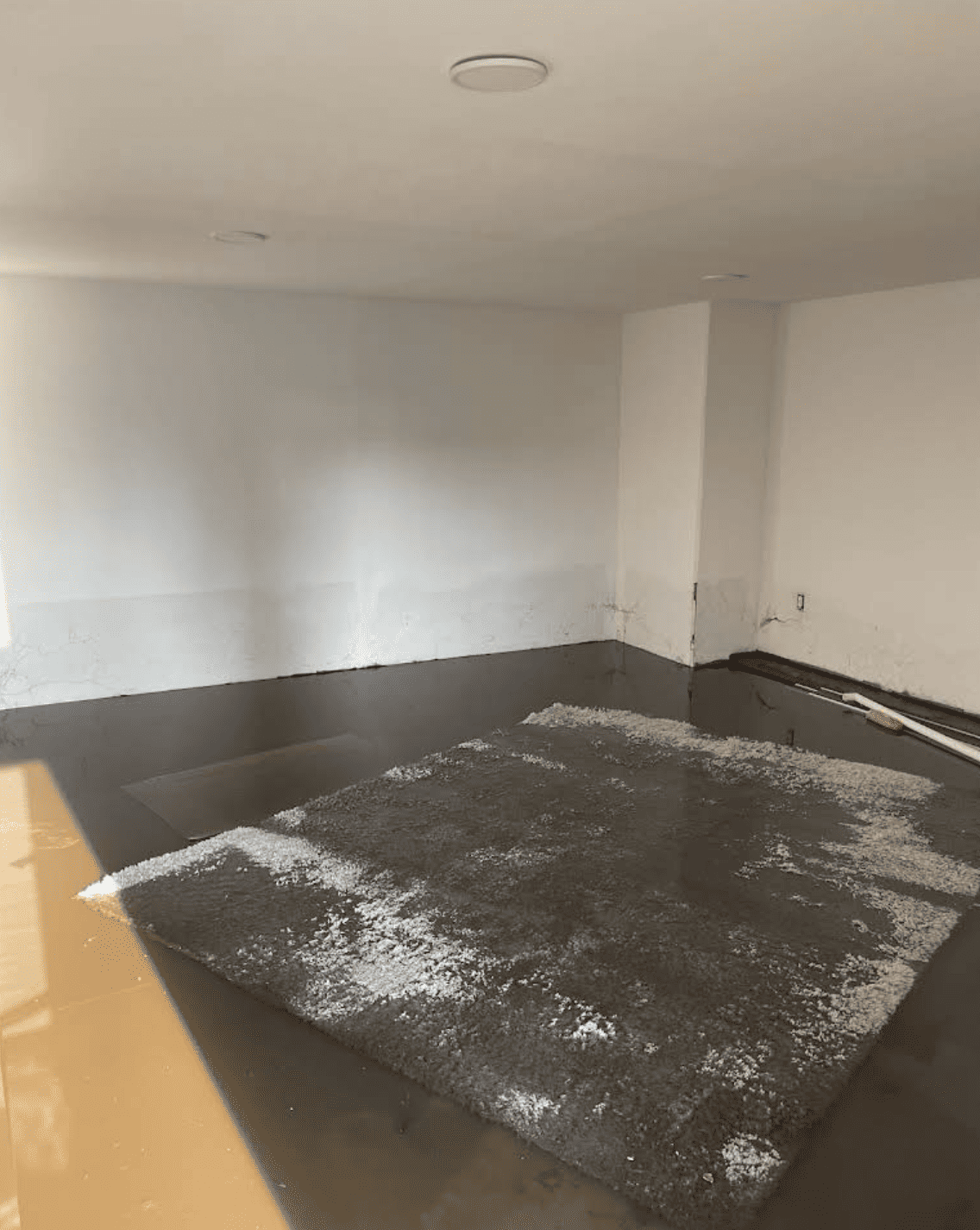 Storm water flooding basement with visible water line on walls