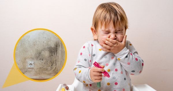 mold exposure symptoms in toddlers