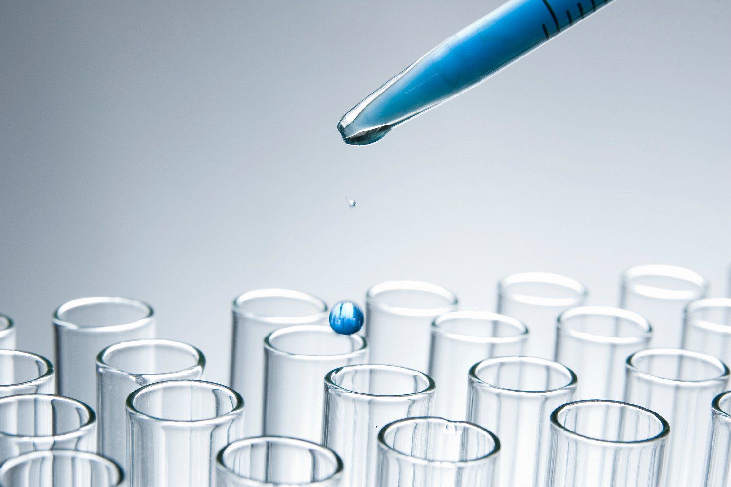 Mold Testing Samples
