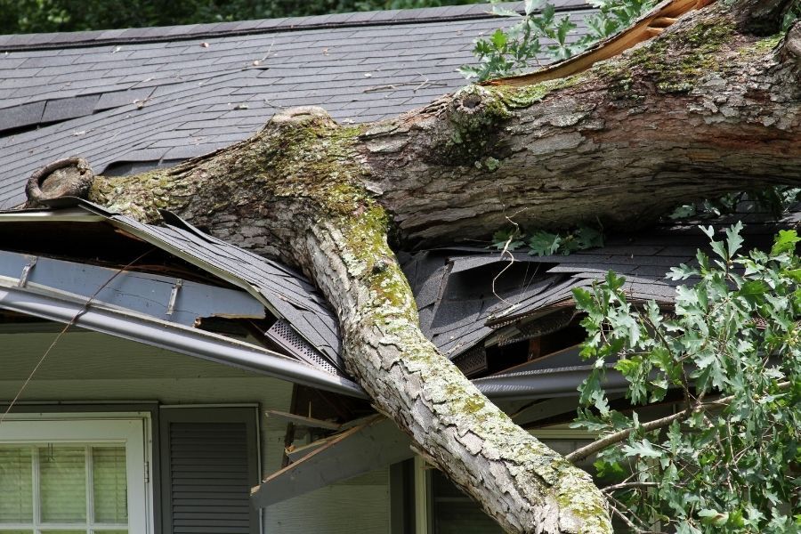 Storm and wind damage requiring emergency board up services