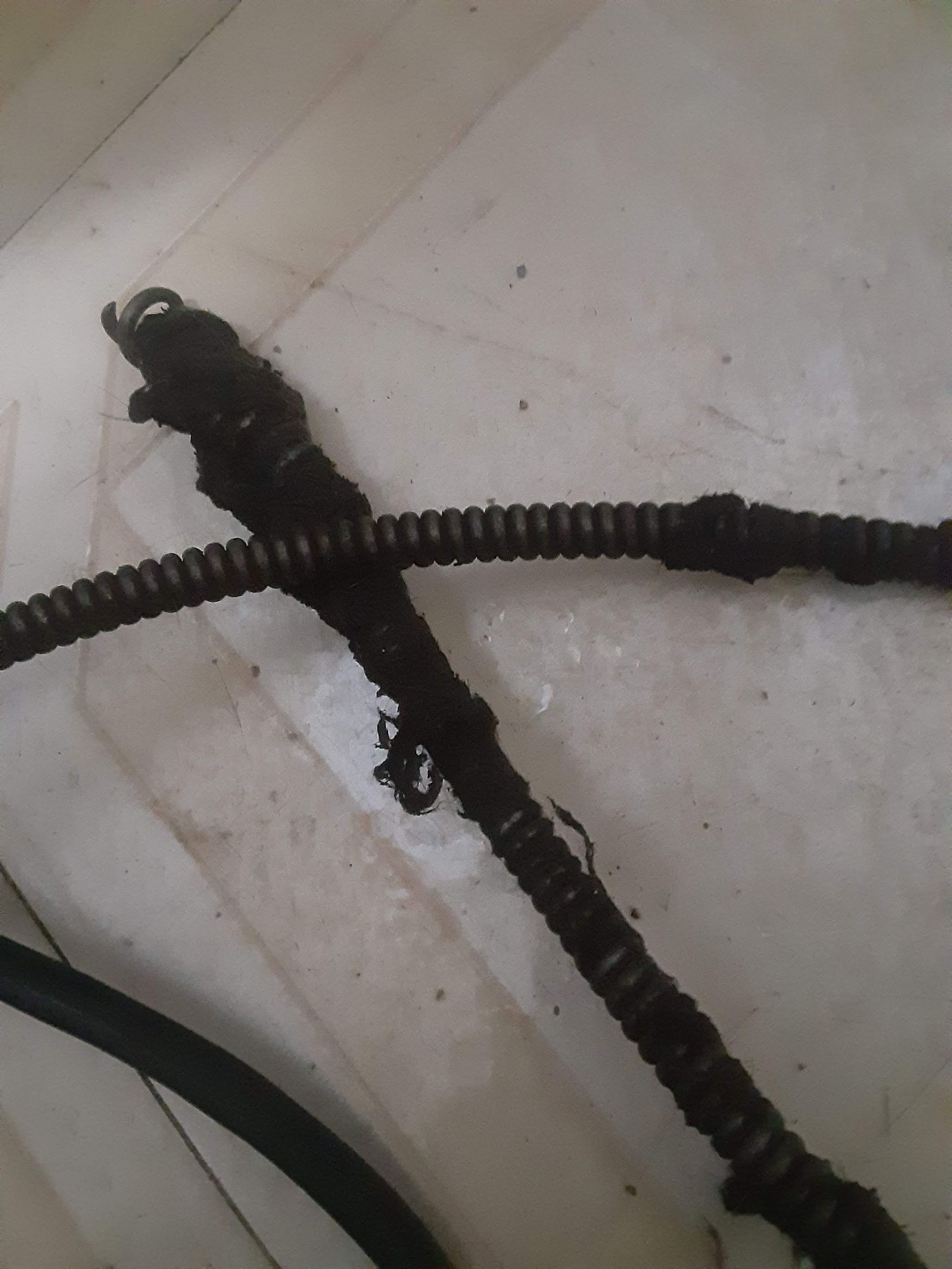 A drain snake with black gunk and debris on its coiled metal wire, inside a white plastic bin.