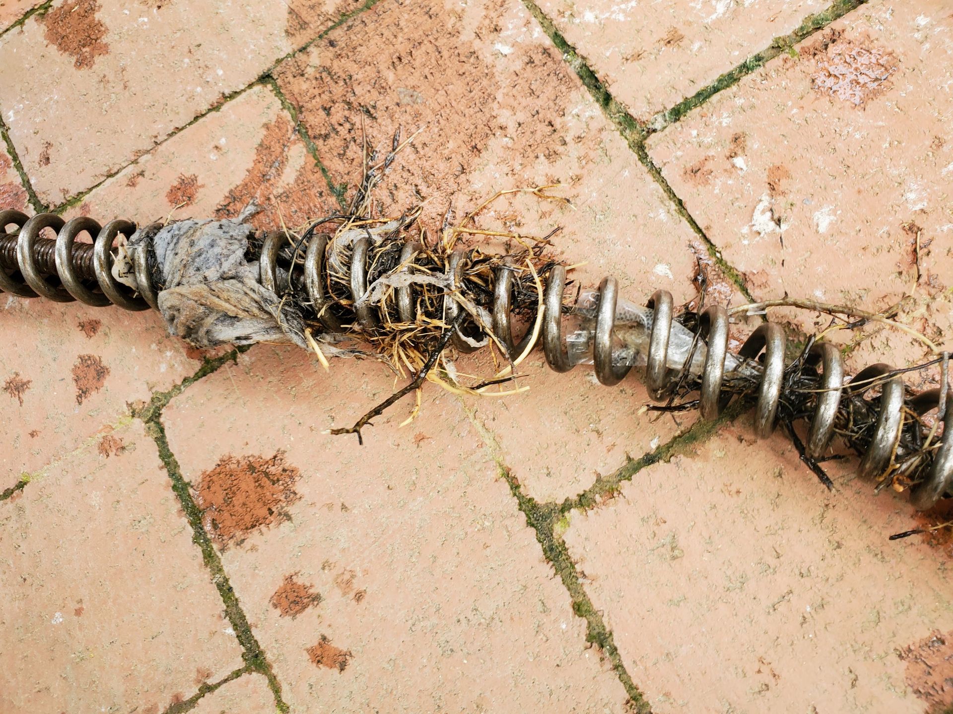 A plumbing snake coiled on brick pavers, covered in debris including hair and plant matter.