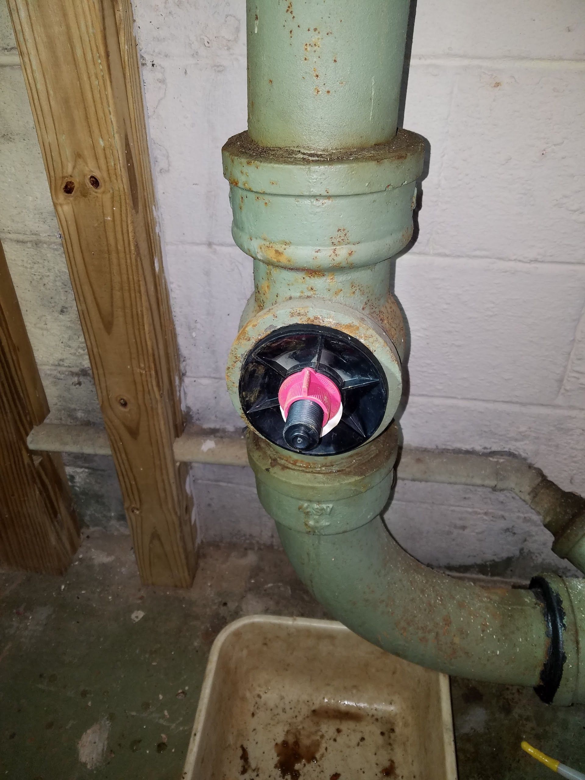 Old, rusty plumbing with a black and pink object inserted, inside a basement setting. A white container is placed below.