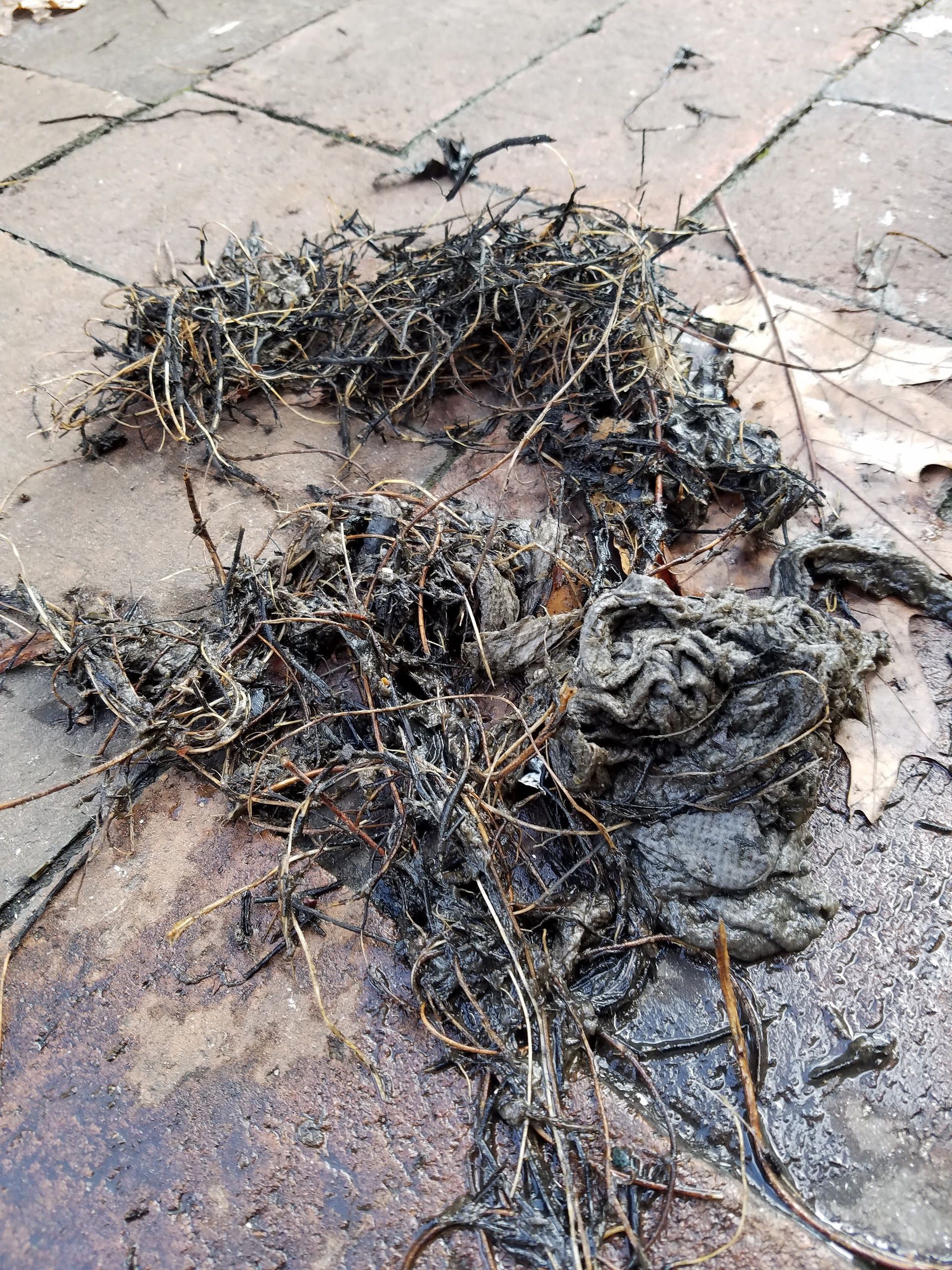 Clump of charred debris, resembling burnt hay, on a weathered surface, likely a roof.