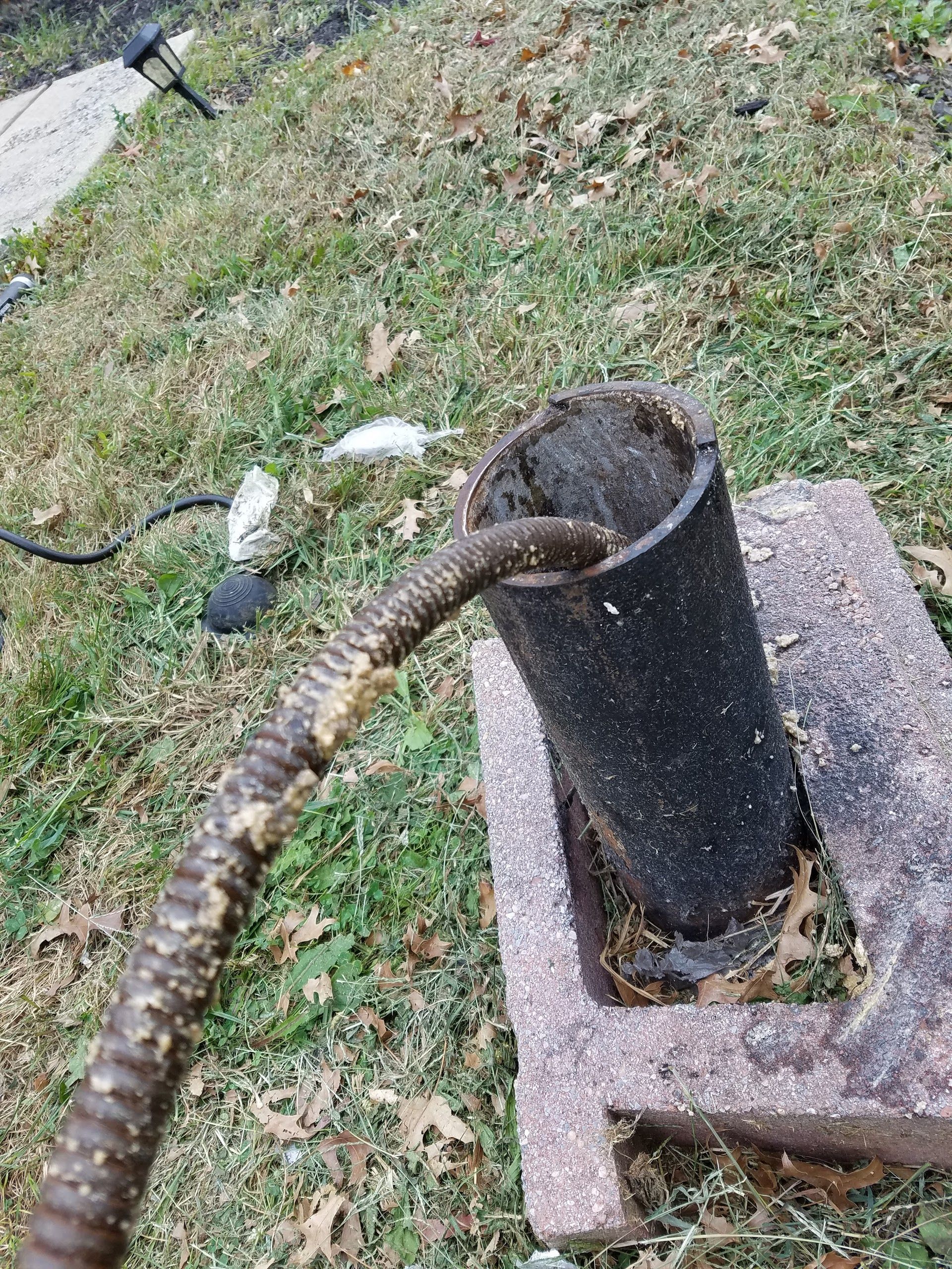 Snake emerging from a dark, cylindrical object on brick, in a grassy outdoor area.