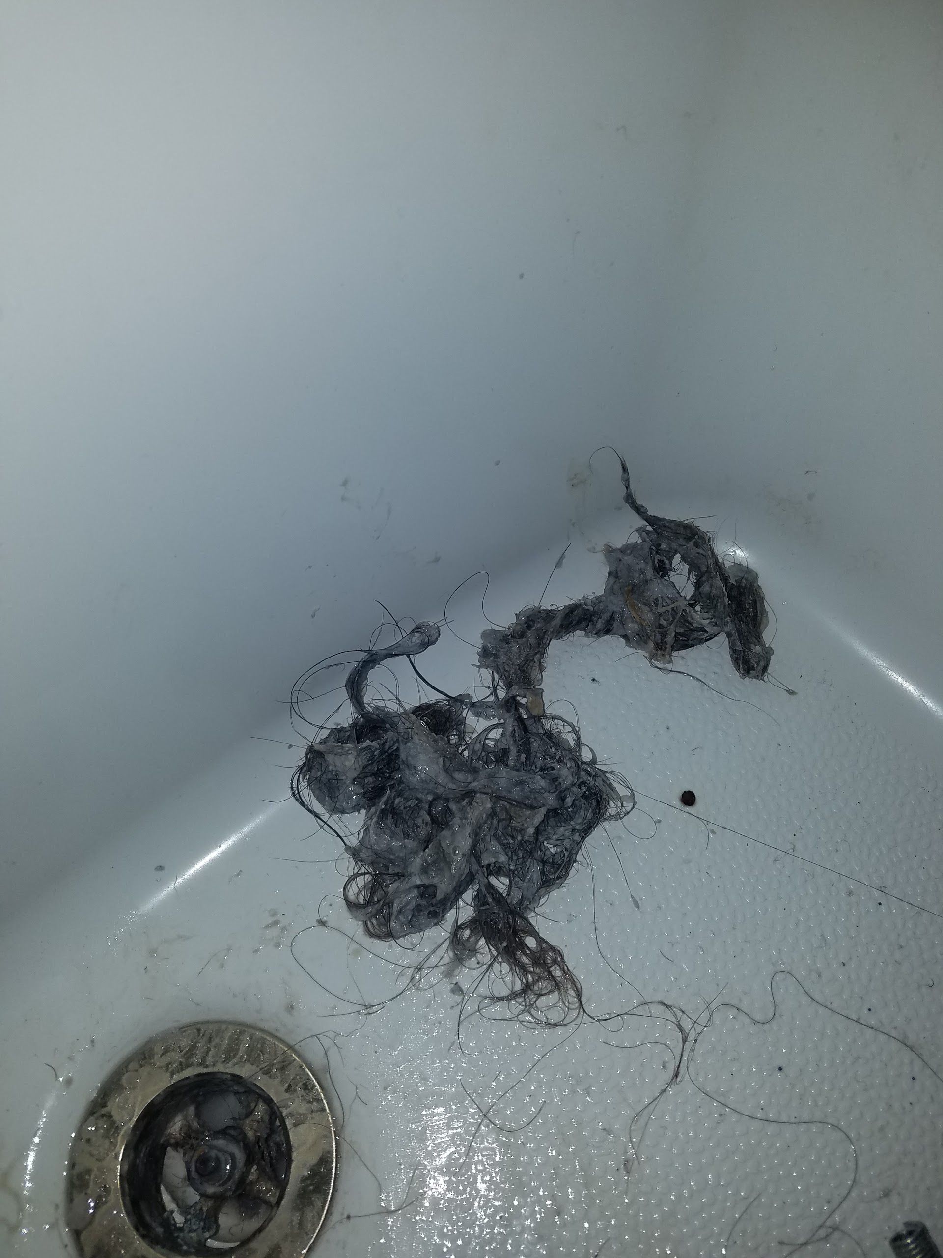 Clump of hair and debris removed from a sink drain.