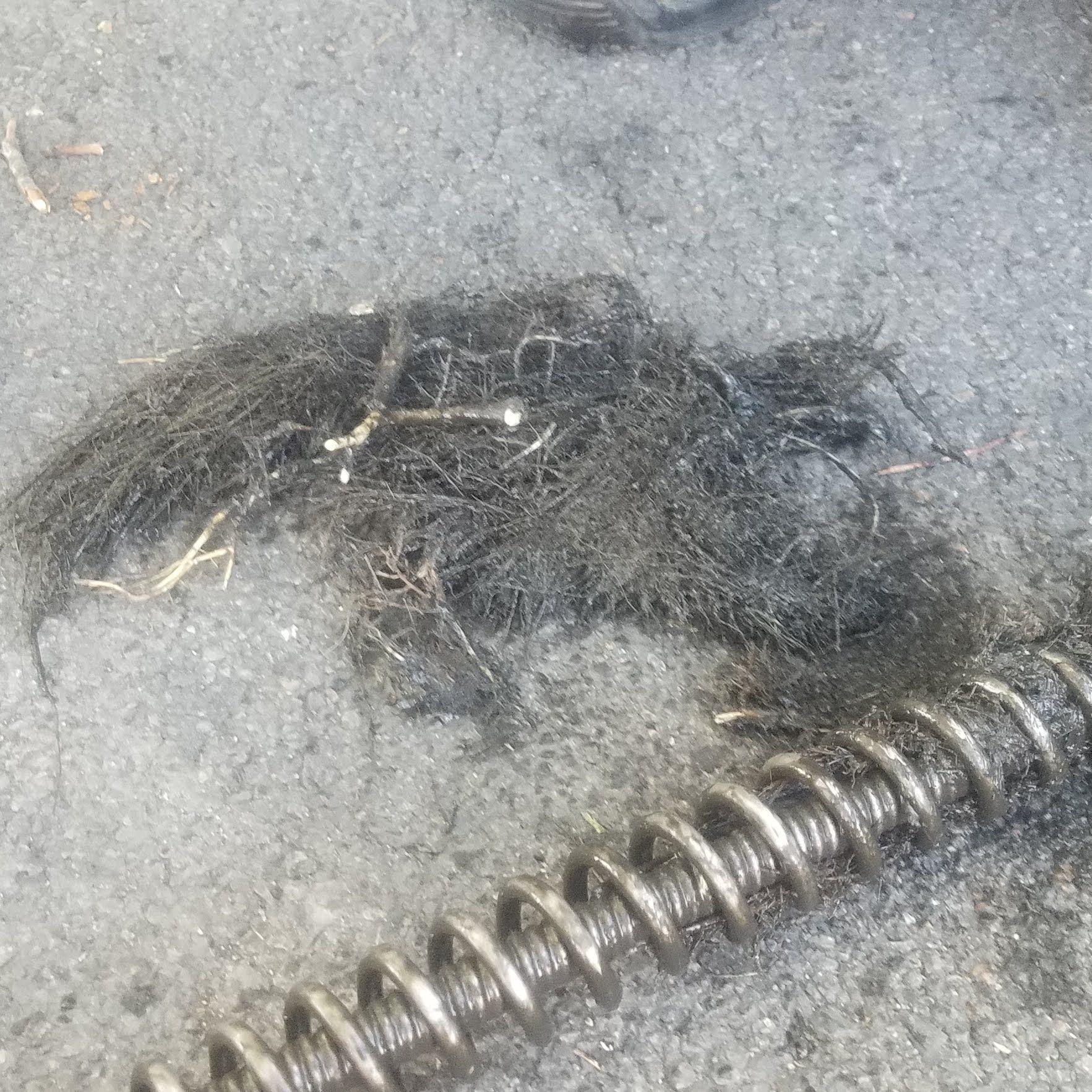 Clump of dark hair and debris pulled from a drain, next to a coiled drain snake on a concrete surface.