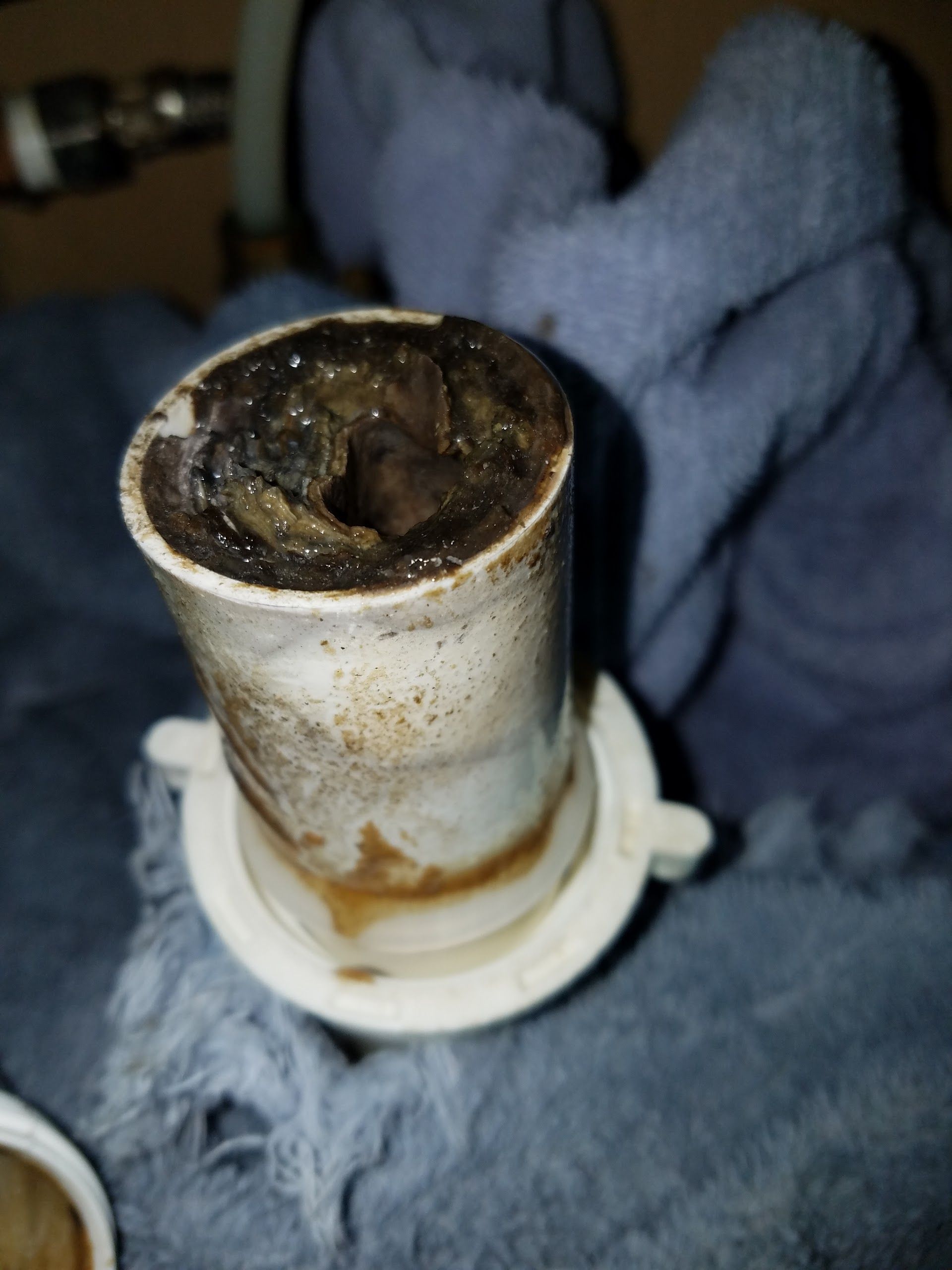 A clogged, dirty drain pipe removed from a sink. White plastic is coated with dark sludge and grime.