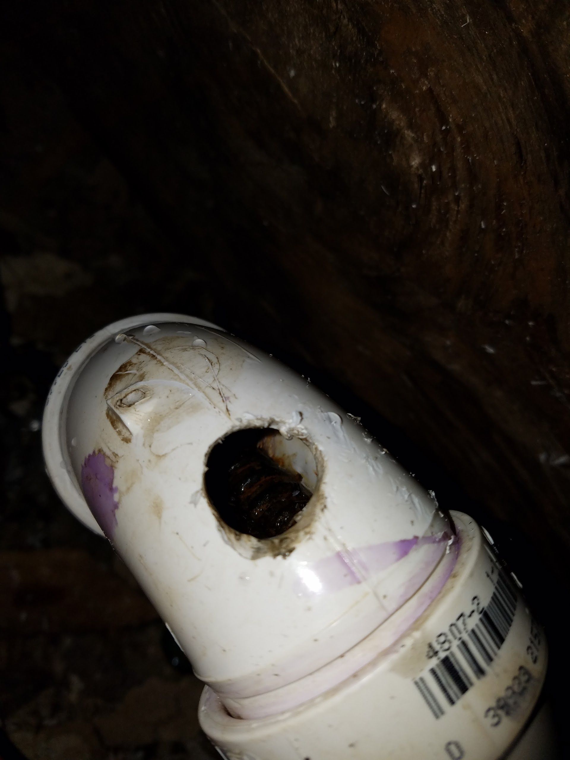 White PVC pipe elbow with a hole filled with dark material in a dim setting.