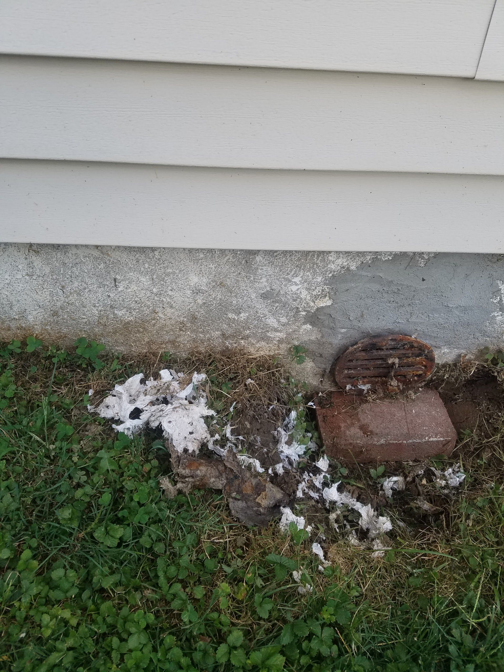 White siding and foundation with a rusty vent and bird feathers on the ground.