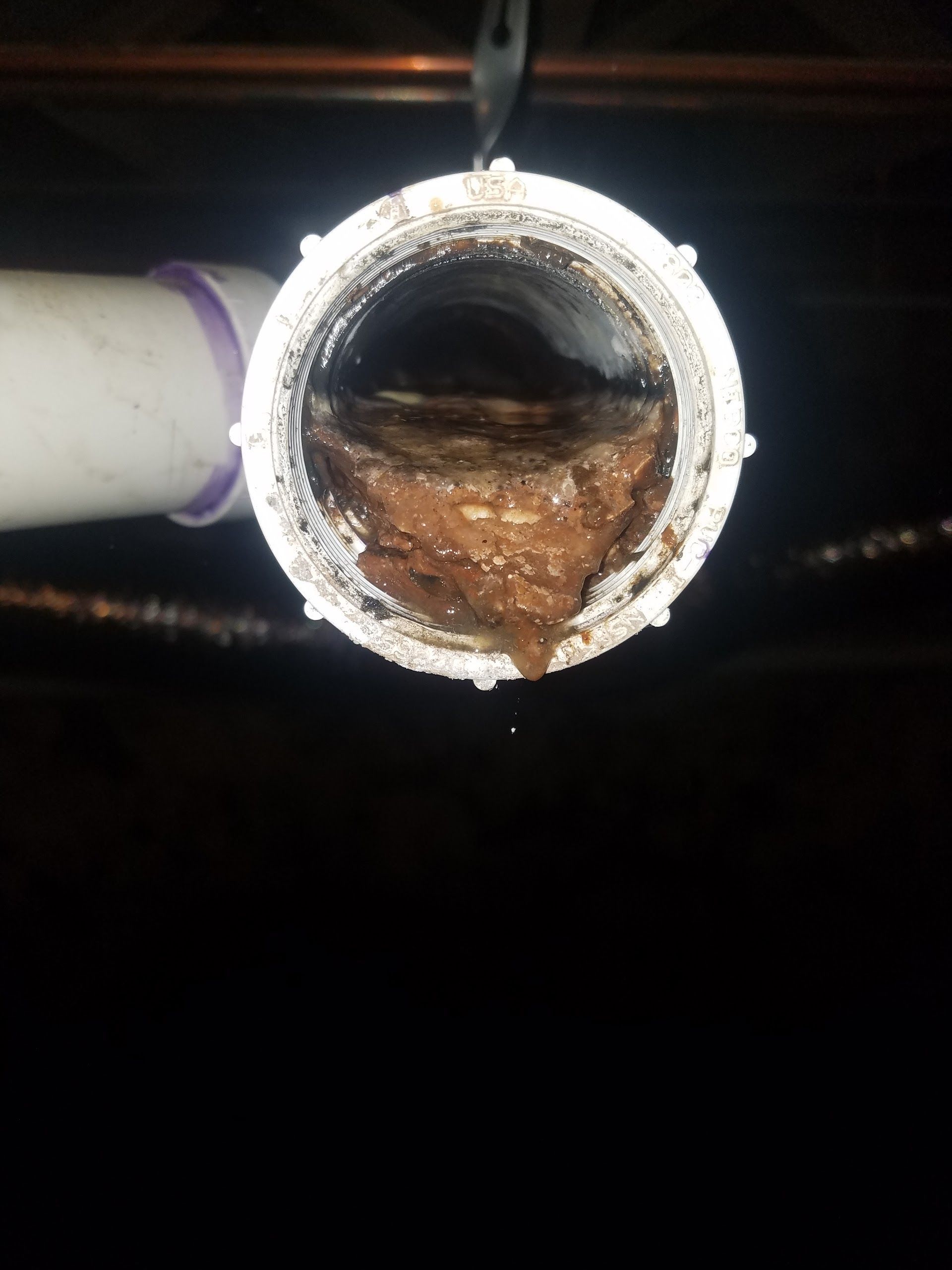 A close-up view inside a corroded white pipe with brown sludge blocking the opening, dripping a liquid.