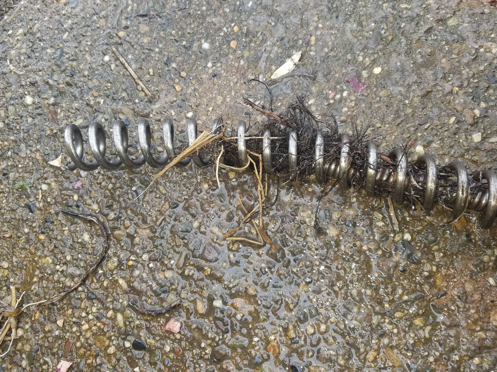 Coiled metal drain snake, partially covered in debris, on a wet, gray pavement.