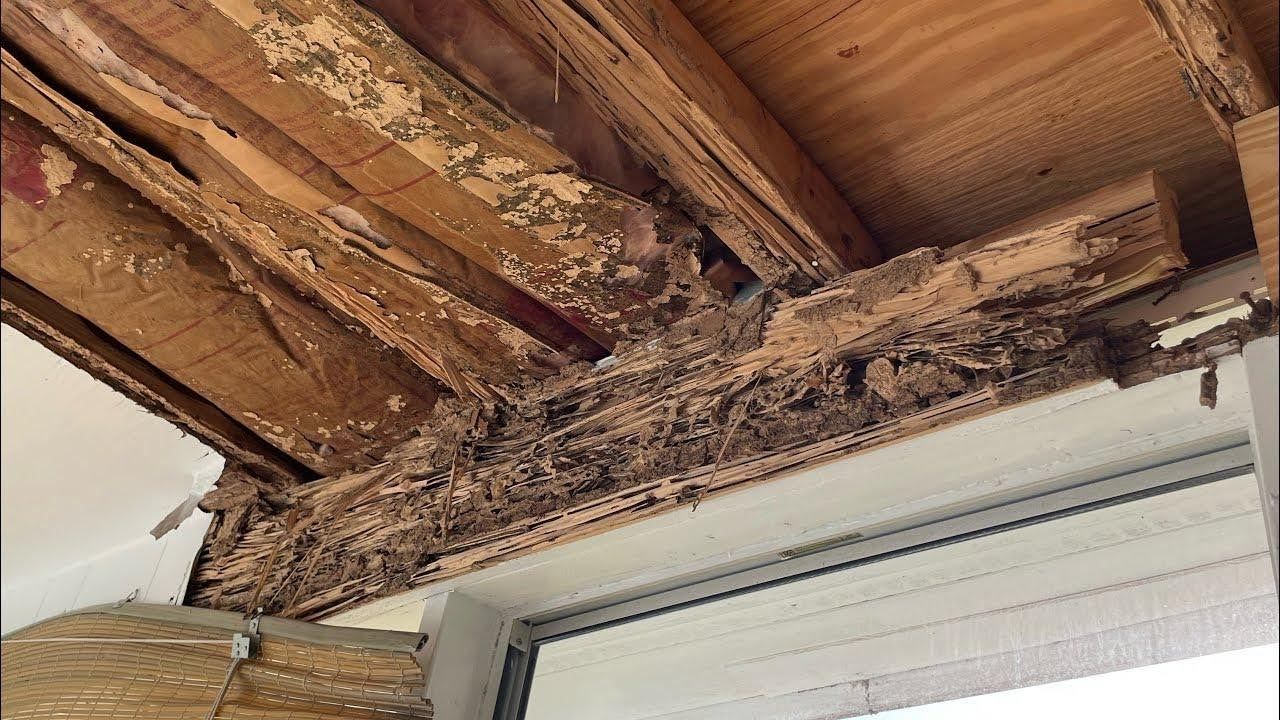 View of wood damage caused by termites. Get termite protection with Abair Lavery.