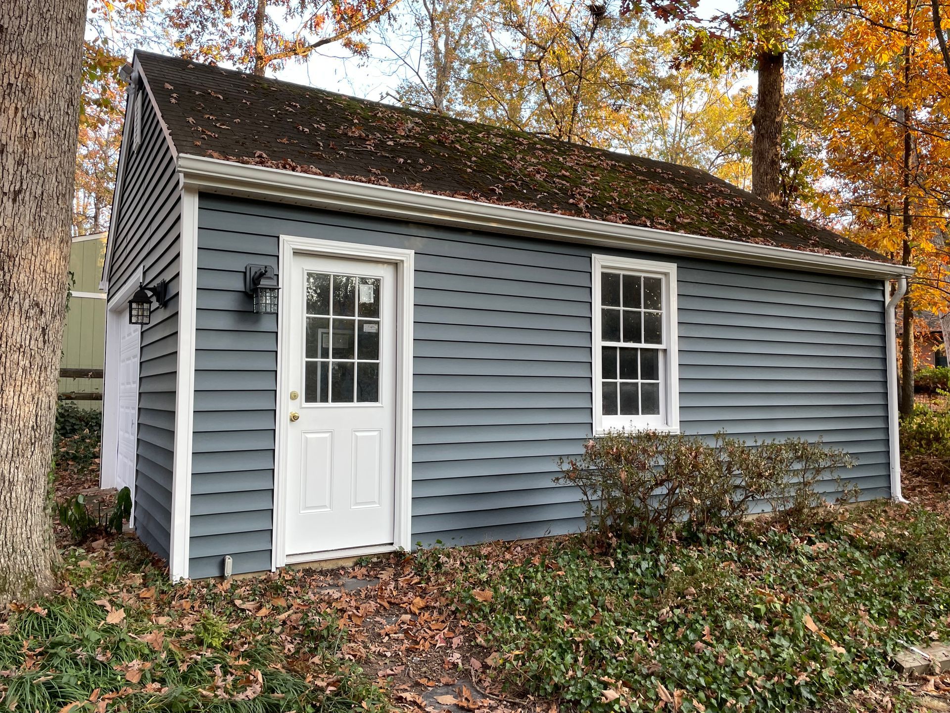 Blue-sided small building with white door and window, surrounded by brown leaves and shrubbery.