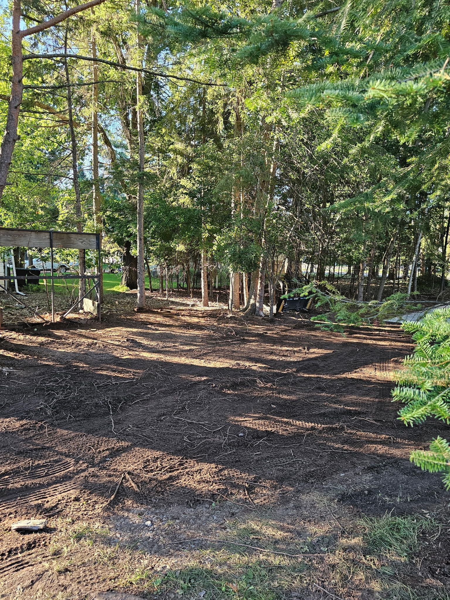 A freshly mulched yard in sunlight, with trees in the background.