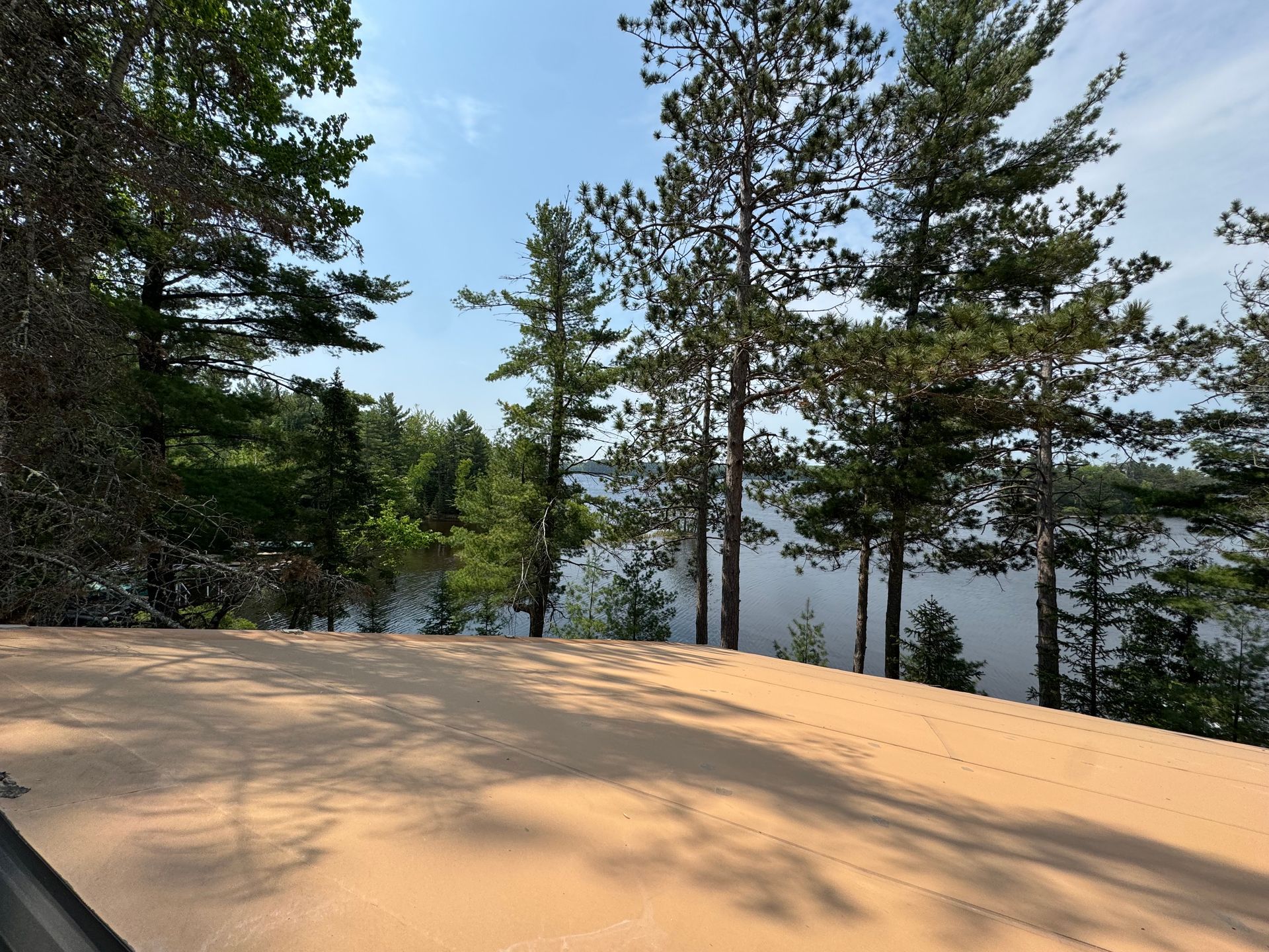 Sandy path overlooking a lake, with pine trees in the background under a blue sky.