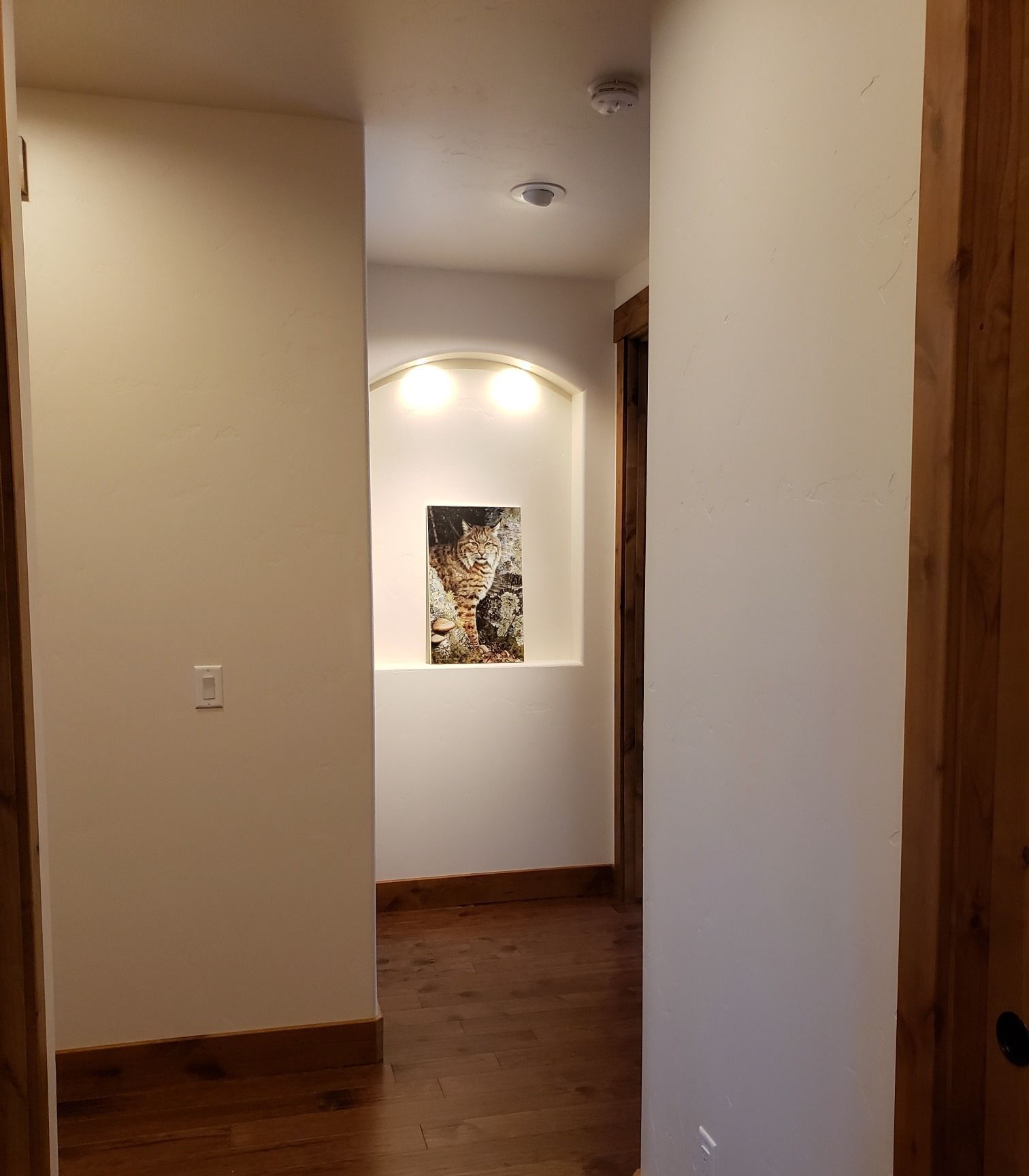 A hallway with a picture of a cat on the wall