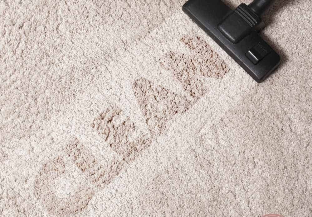 Professional Carpet Cleaning 1st Step Carpet Care Lawrenceville, GA