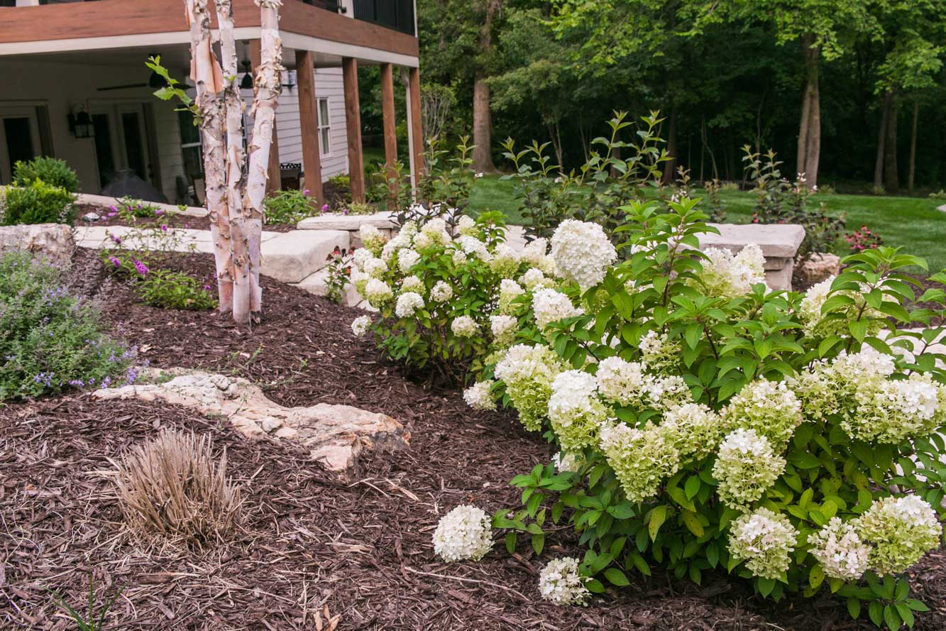 backyard landscaping area