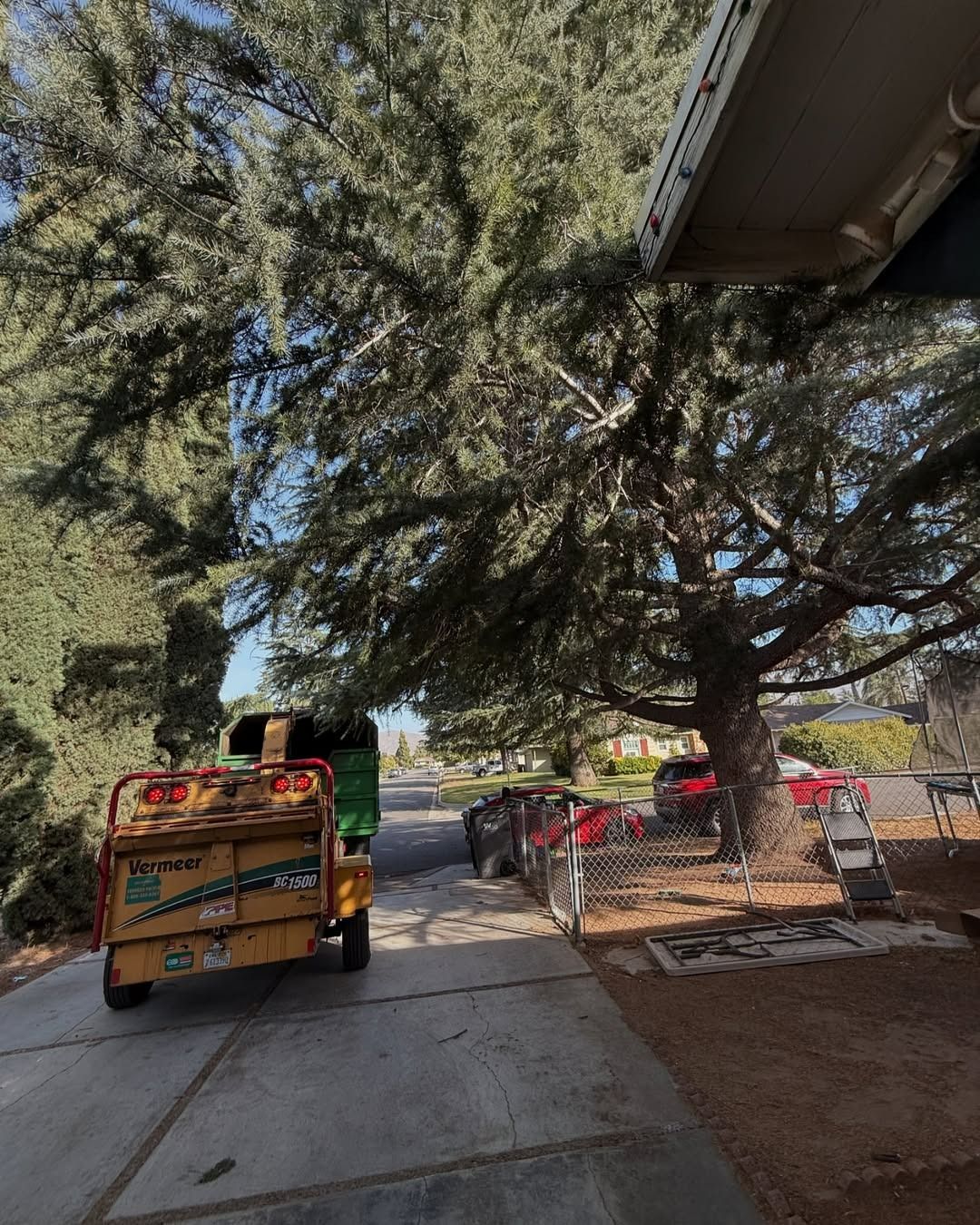 A tree trimming crew works near a large tree in a residential driveway. A wood chipper and truck are parked on the concrete.