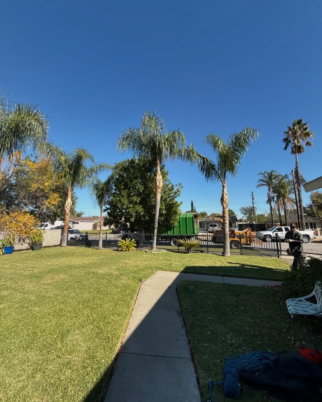 Lush green lawn and sidewalk lead to a street with palm trees against a bright blue sky.