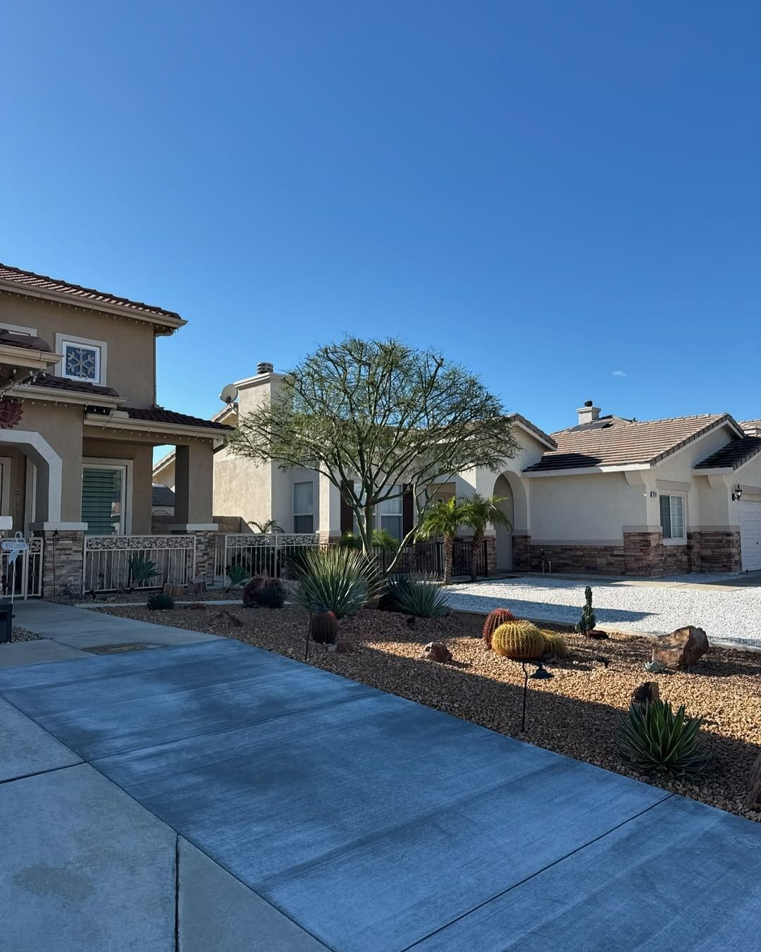 Houses with desert landscaping under a clear blue sky. A tree stands centered between the homes, with cacti and rock details.