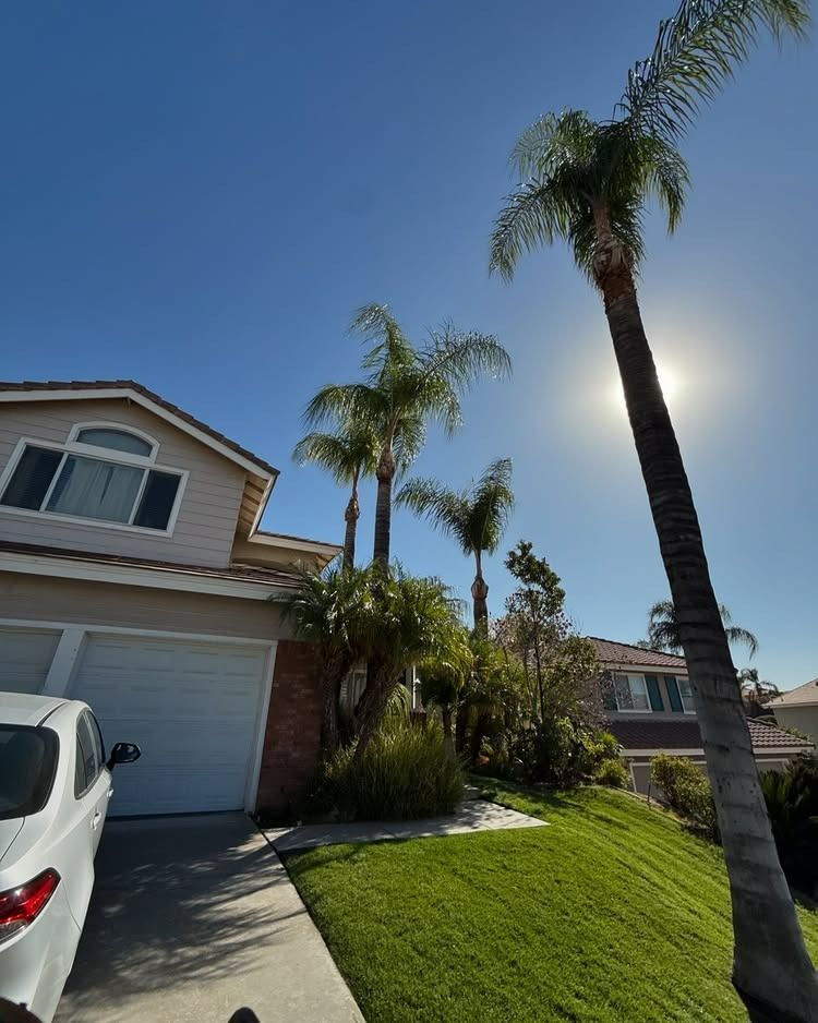 House with a white garage door and green lawn, tall palm trees against a sunny blue sky. A white car is parked in the driveway.
