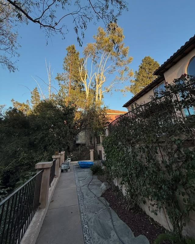 A pathway lined with a railing and landscaping leads towards a house with trees and a clear blue sky.
