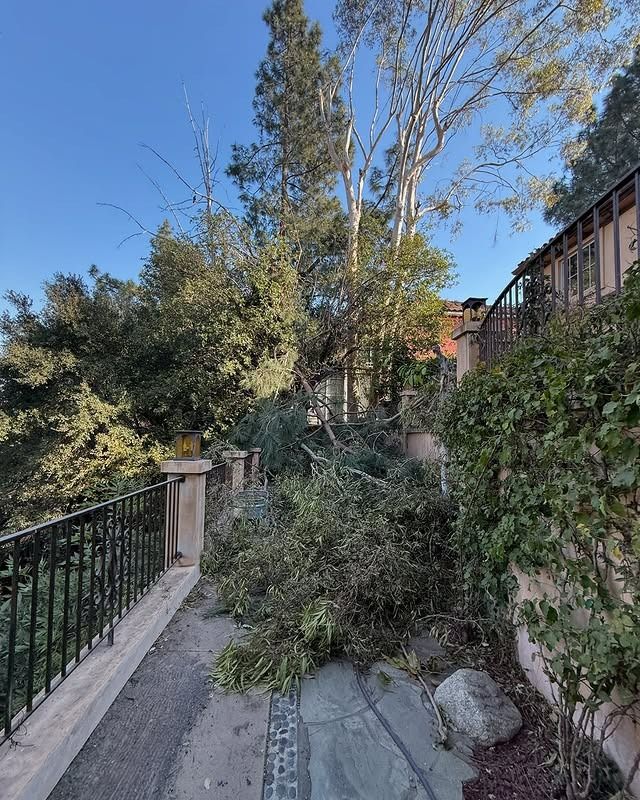 Branches and debris block a walkway next to a building with a wrought iron fence and trees. The sky is blue.