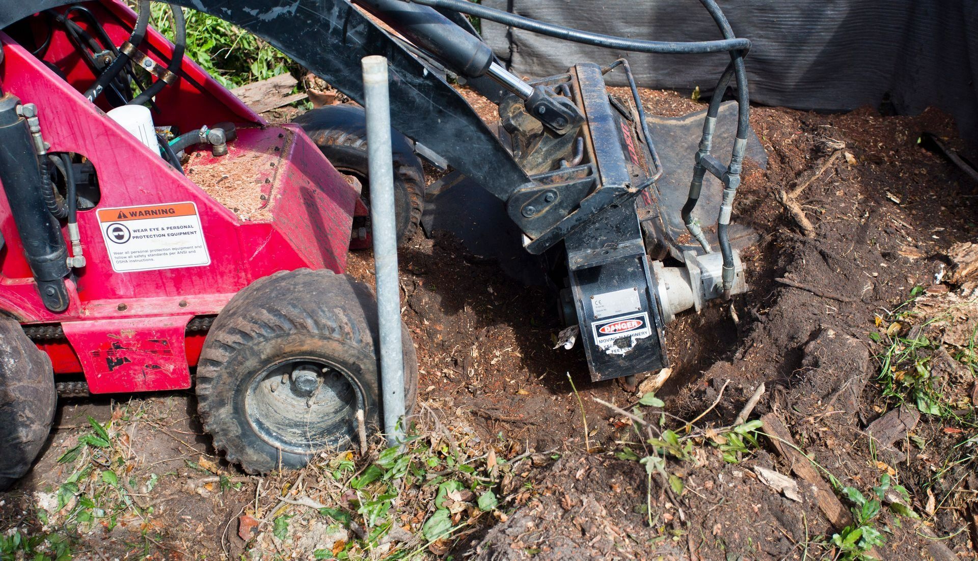 A red stump grinder is grinding a tree stump in a grassy area. Sawdust and wood chips are scattered around the stump.