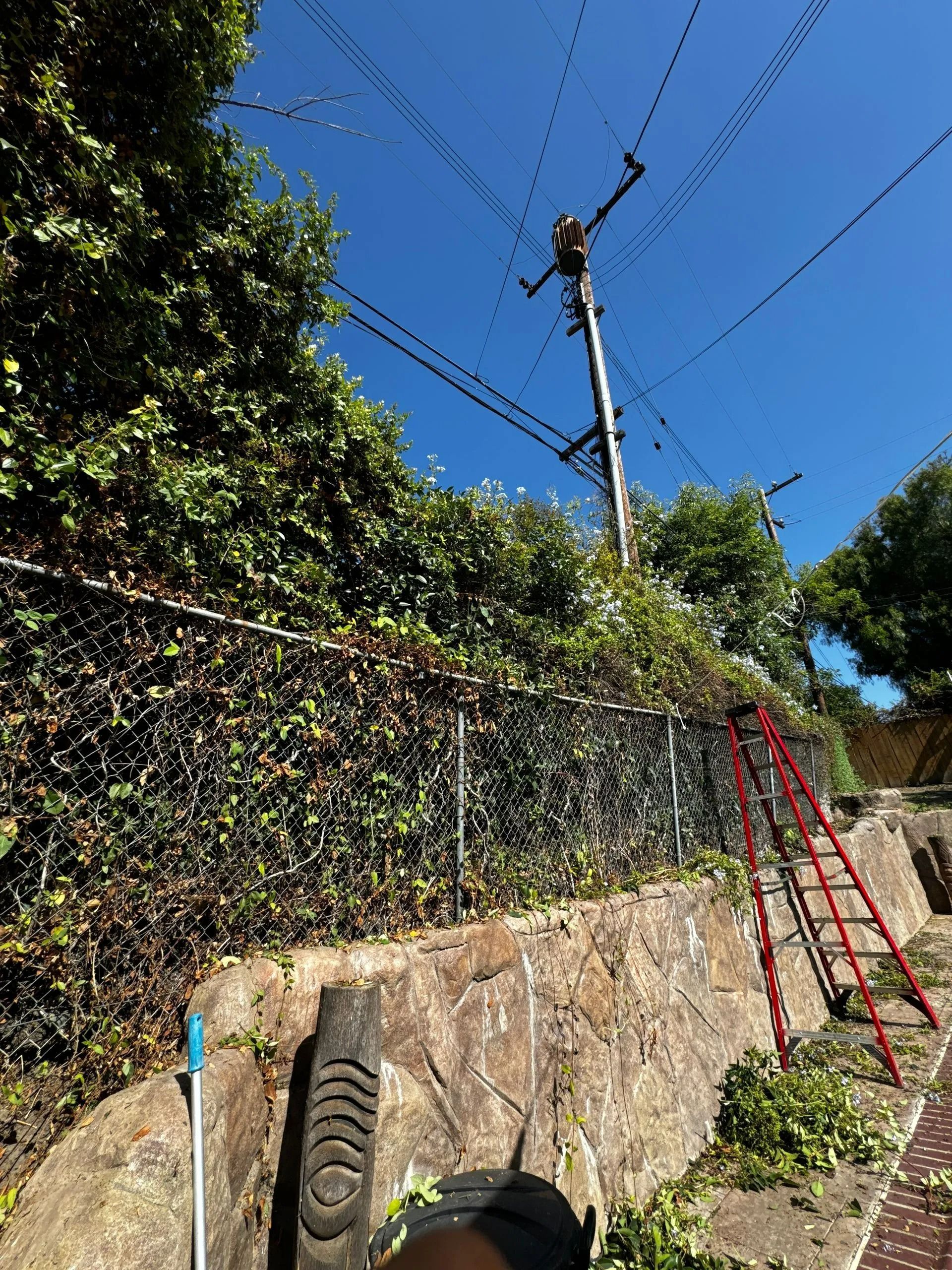 A person works on a power pole amongst power lines on a sunny day. A ladder rests on the edge of a retaining wall next to a chain-link fence.