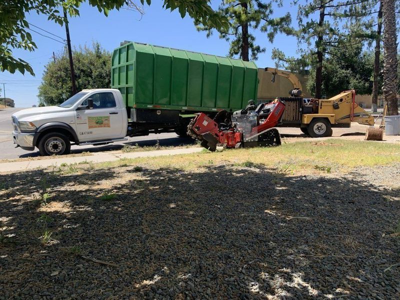 A white truck, green dumpster, and wood chipper on a grassy area by a street for tree removal.