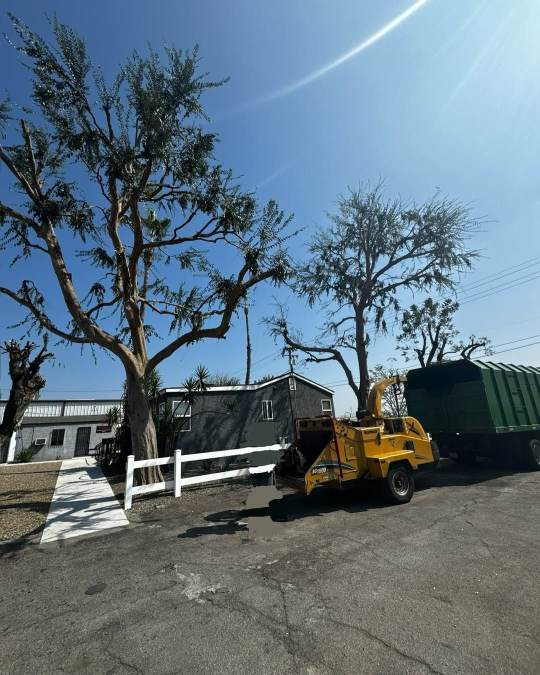 A yellow wood chipper near two bare trees on a sunny day. Buildings and a trailer are also visible.