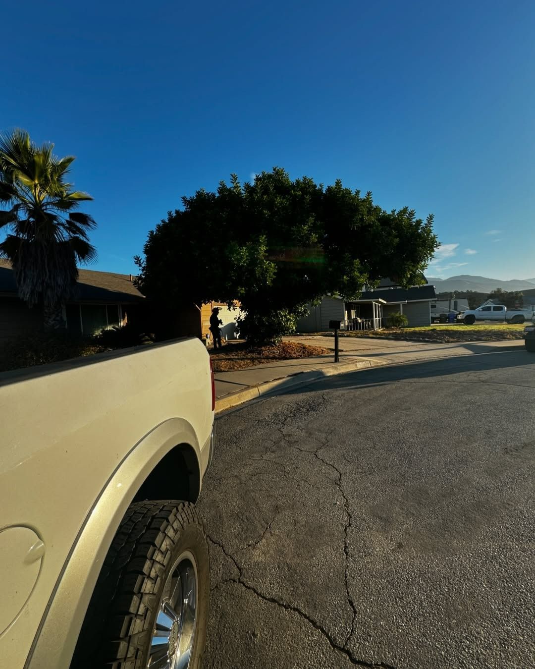 A beige pickup truck parked on cracked asphalt, with a tree and houses under a clear blue sky.