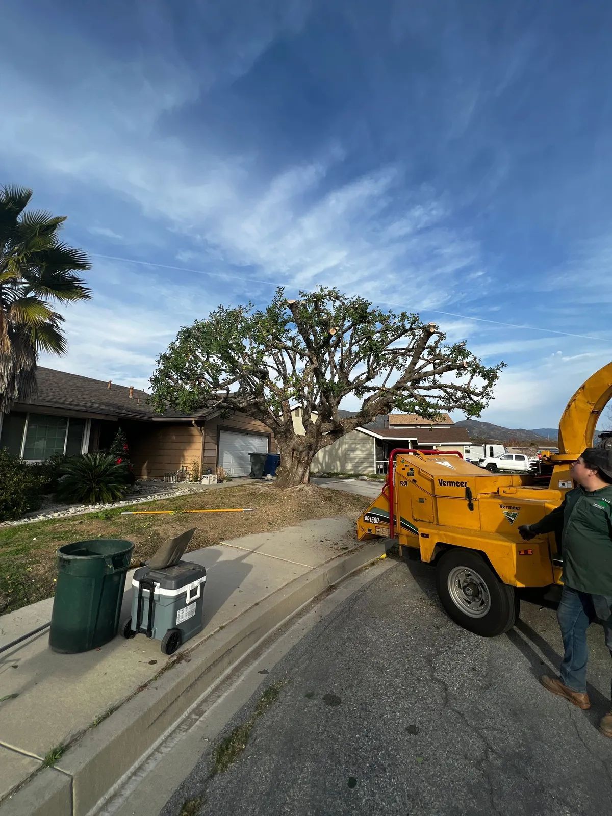 Tree being chipped on a residential street with a blue sky. A yellow wood chipper is in use; worker nearby.