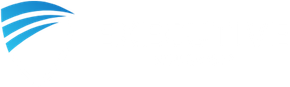 Executive Insurance Group