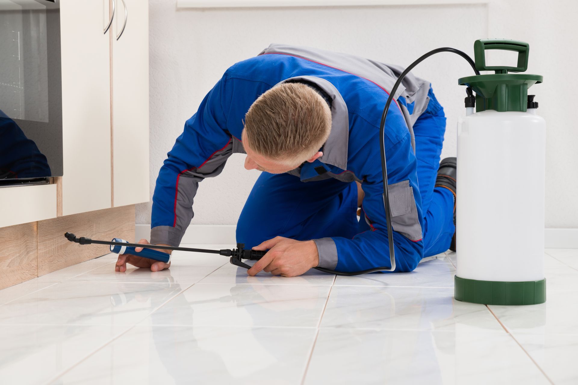 Male worker spraying pesticide on cabinet.