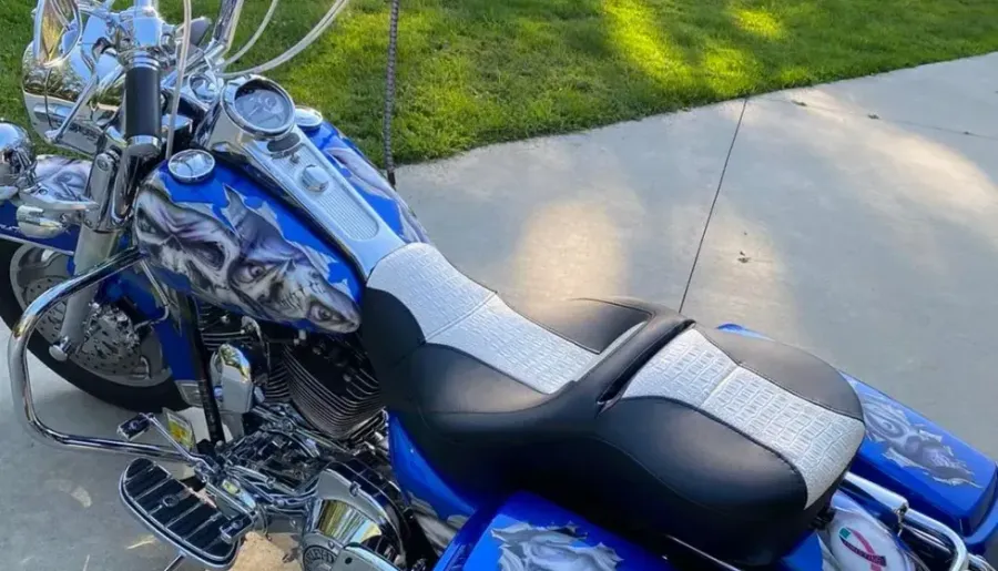 A blue and white harley davidson motorcycle is parked in a driveway.