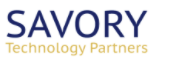 A logo for savory technology partners is shown on a white background.