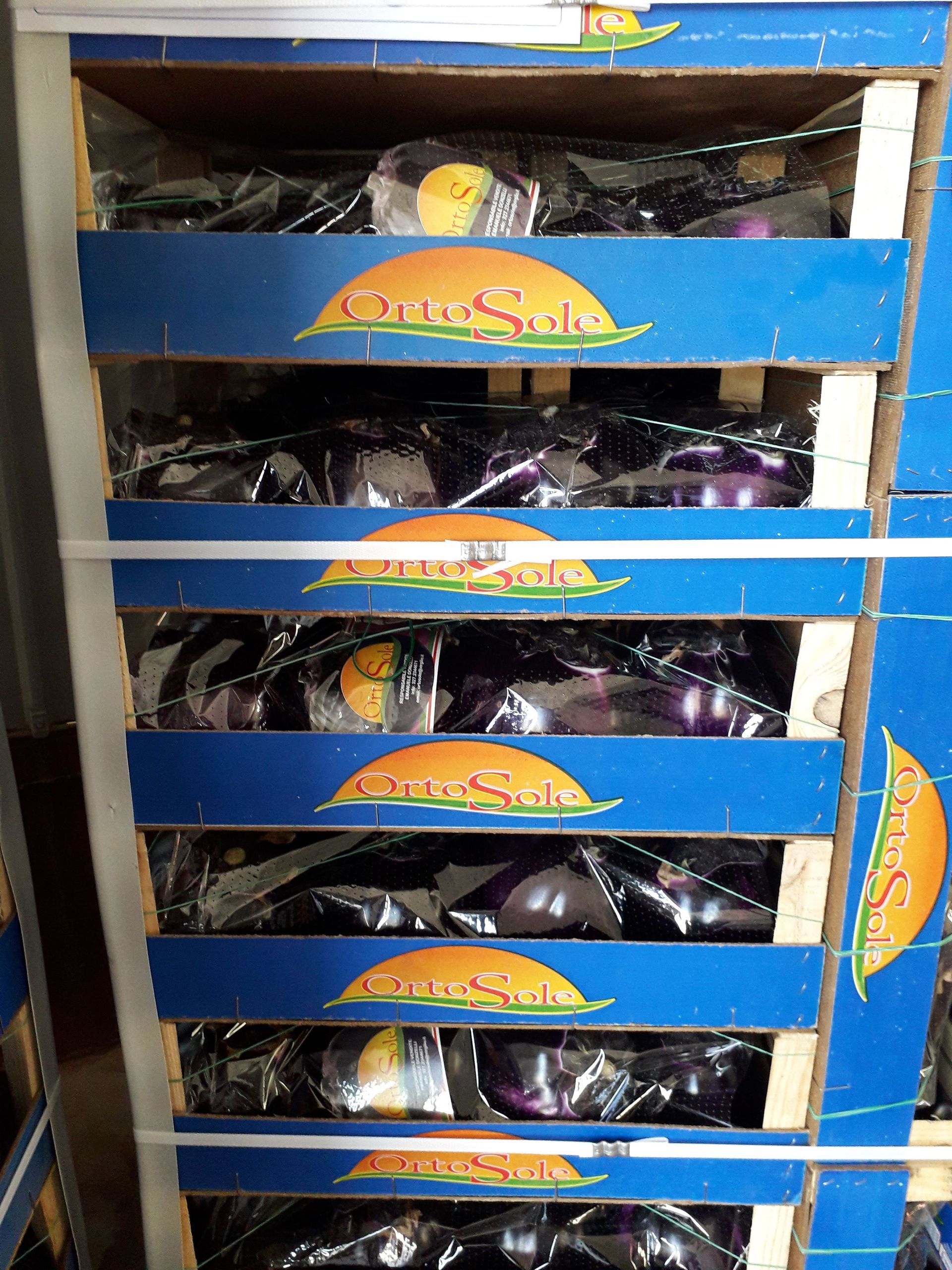 cassette di melanzane