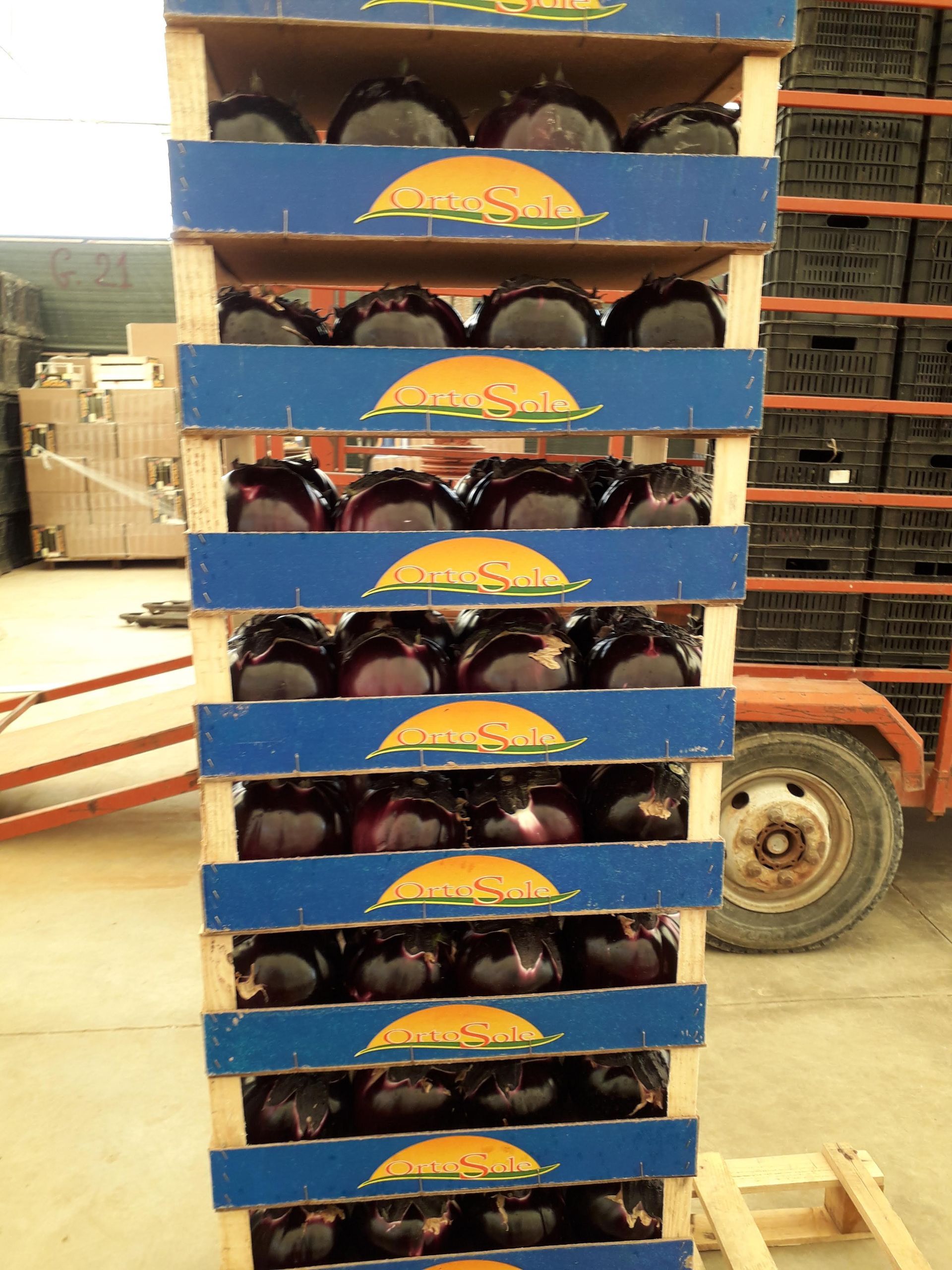 casse di melanzane viola