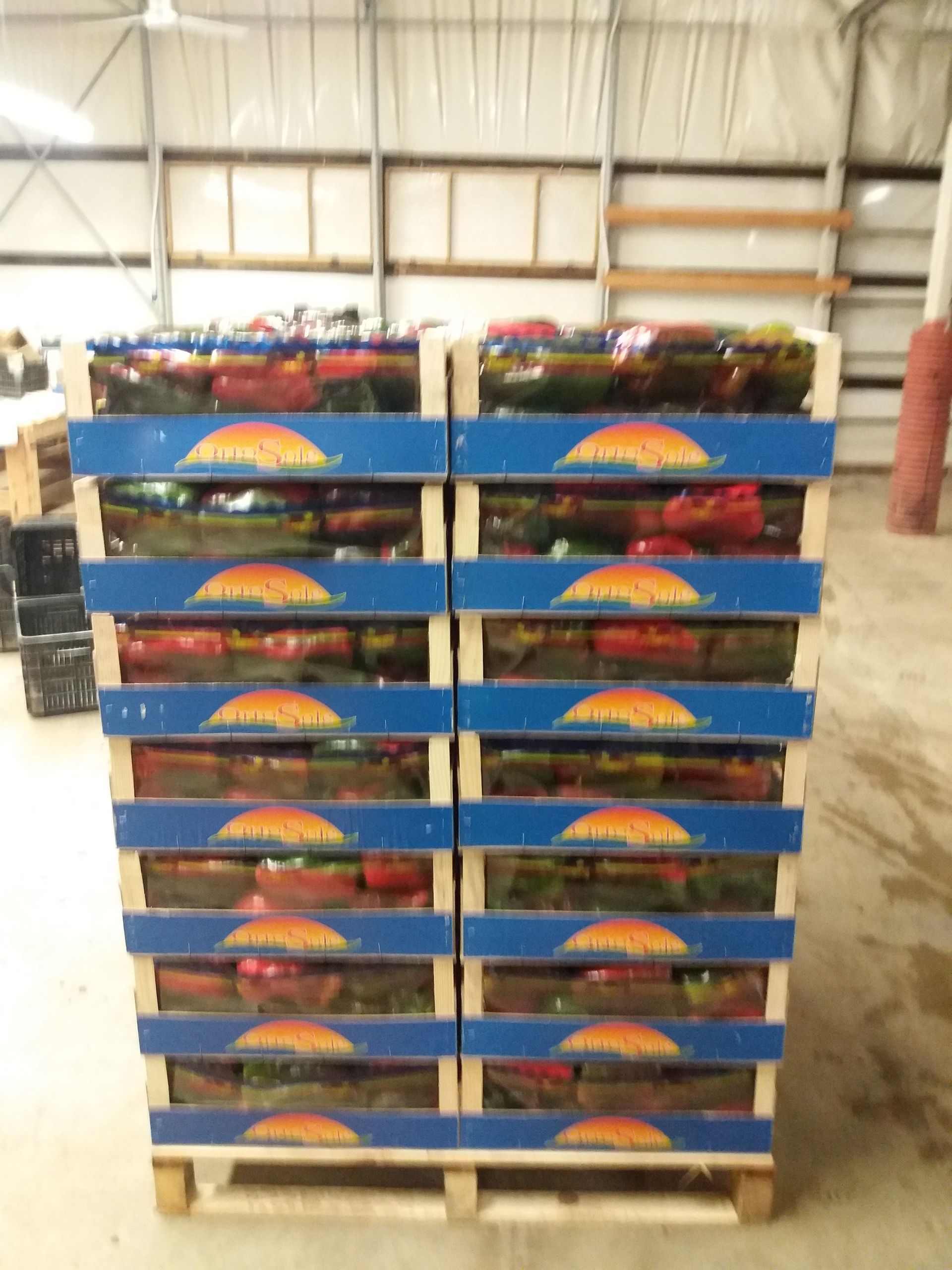 casse di peperoni rossi