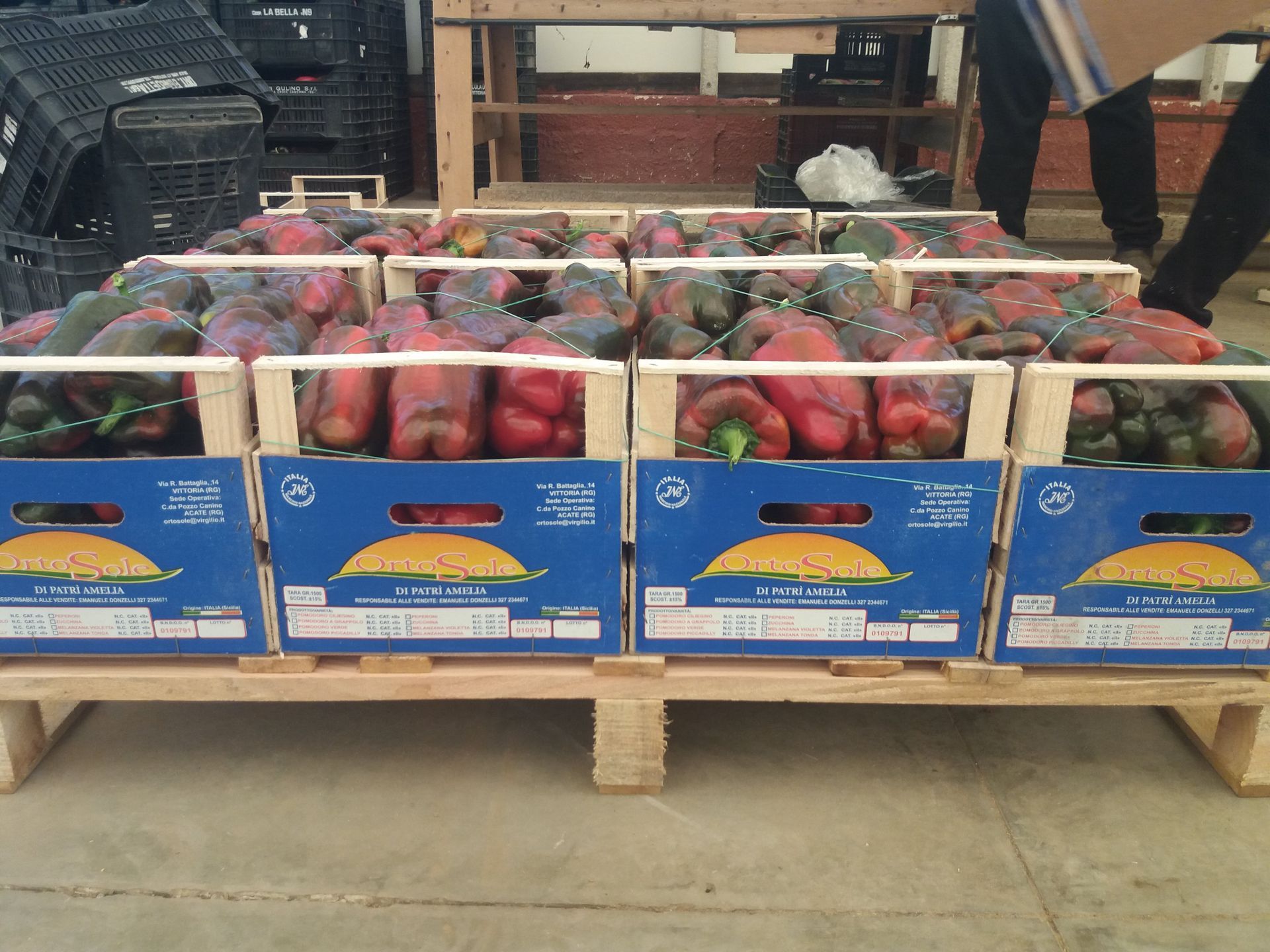 casse di peperoni rossi