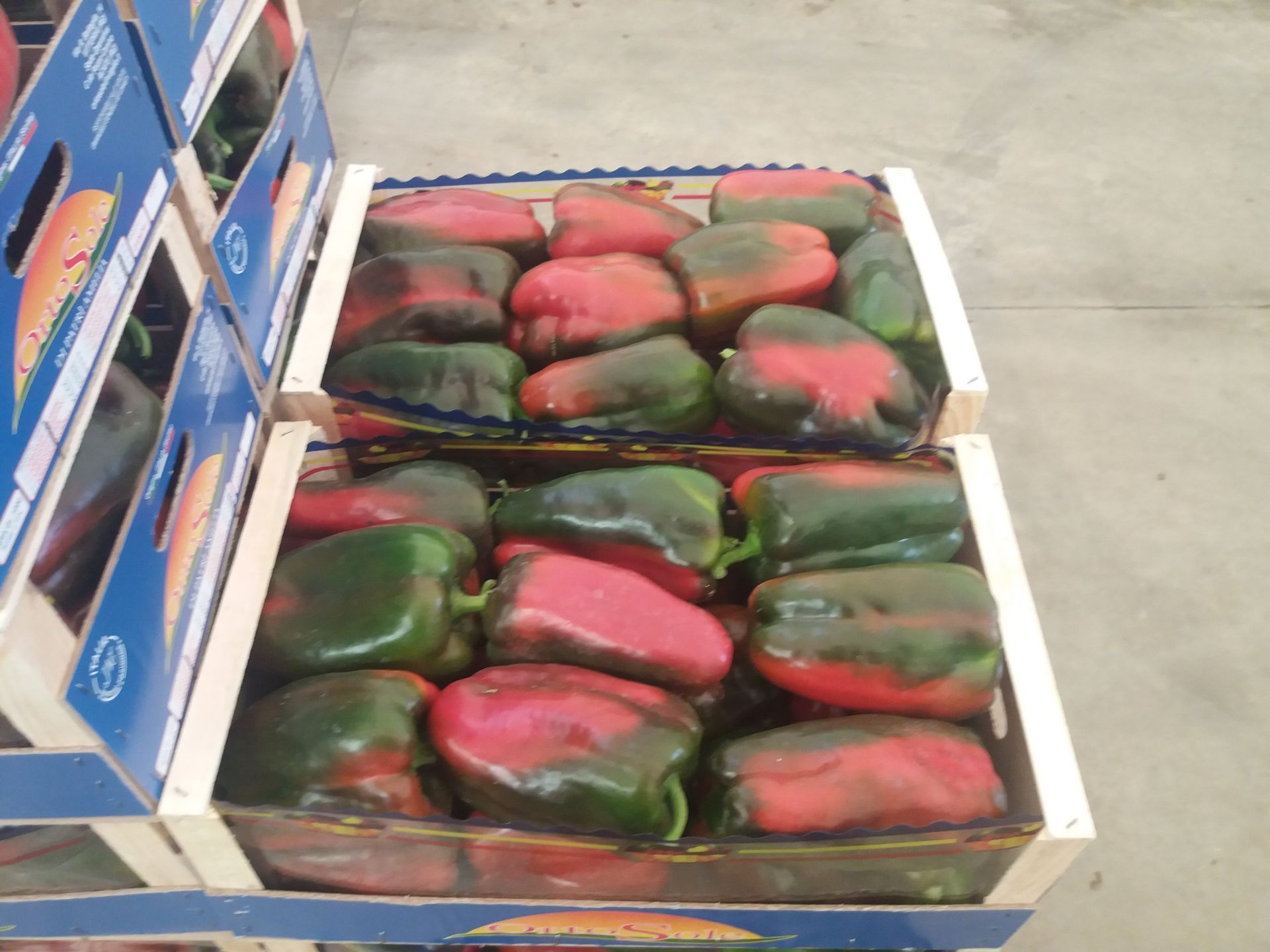 cassette di peperoni rossi