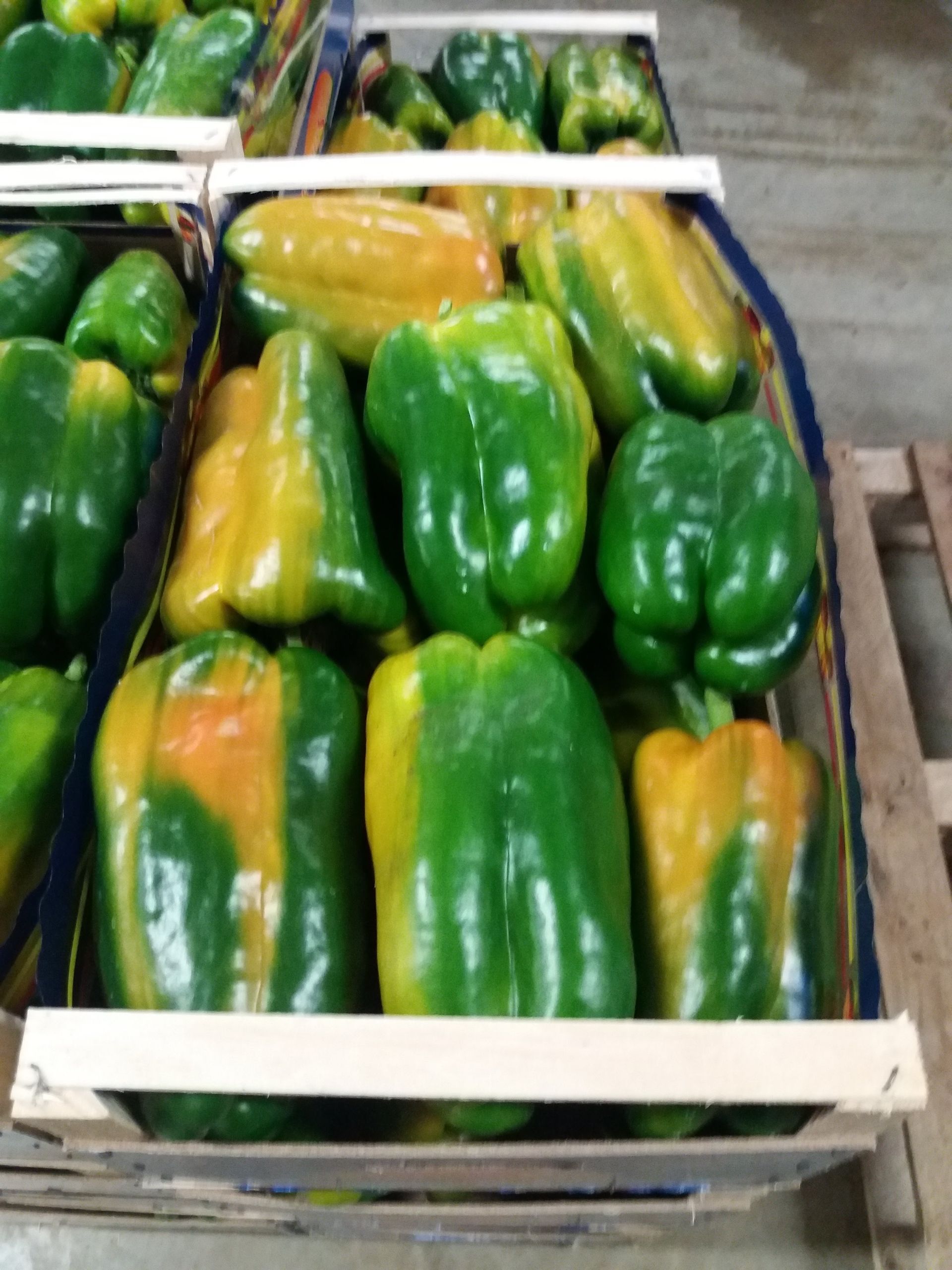 casse di peperoni gialli