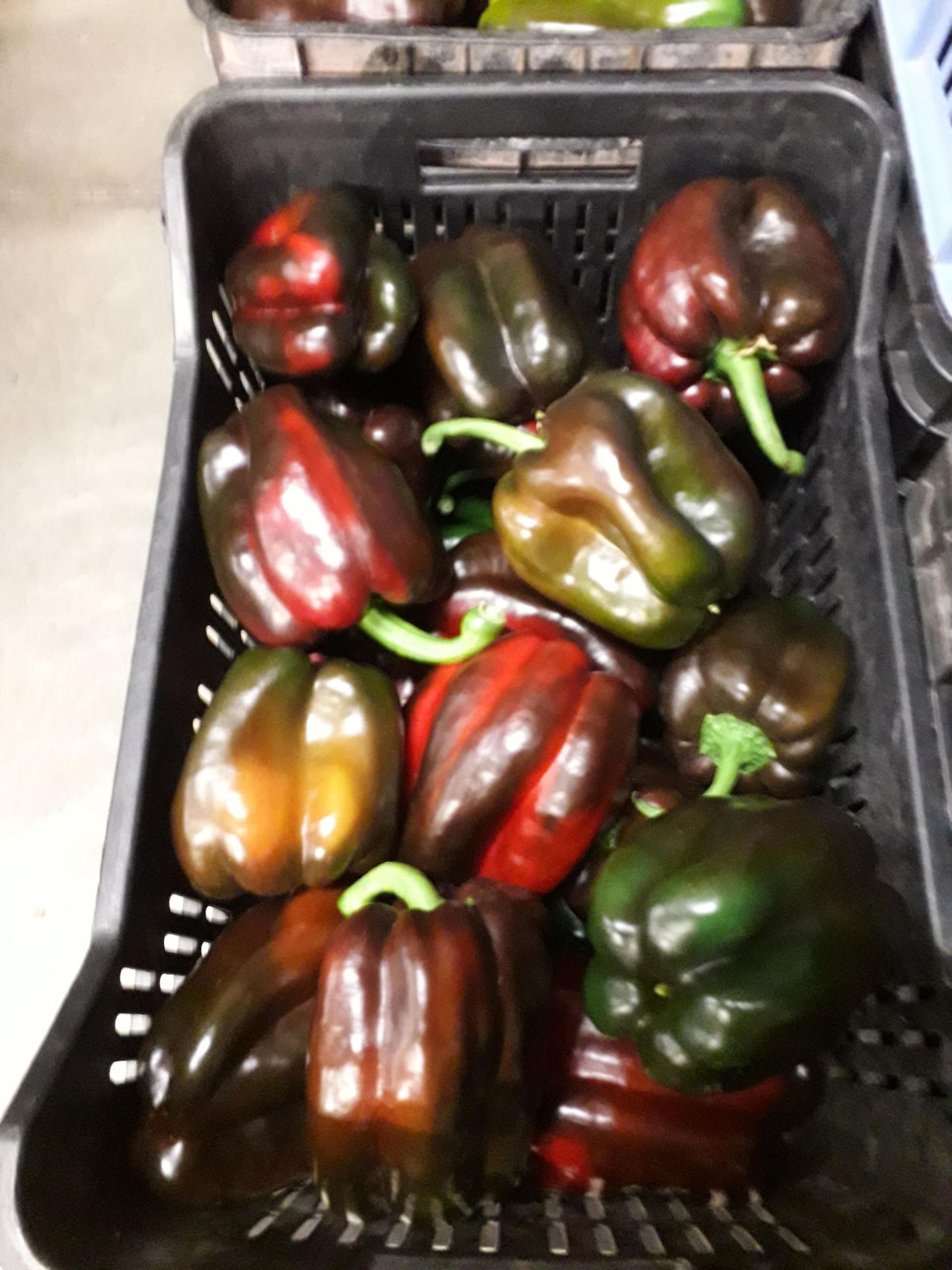 cassa di peperoni misti