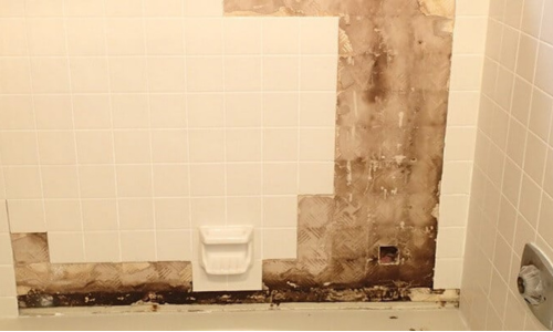 Bathroom Mold Removal Roseville